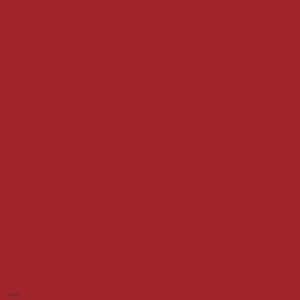 RAL 3002