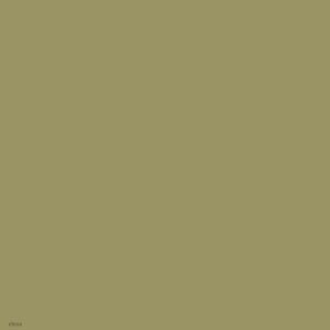RAL 1020